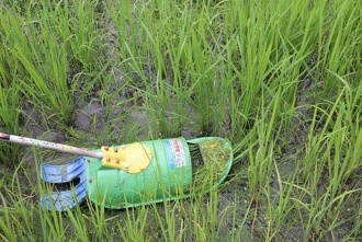 雑草切り取り作戦1