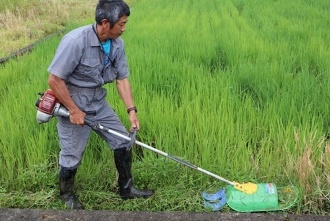 雑草切り取り作戦6