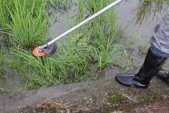 雑草切り取り作戦2