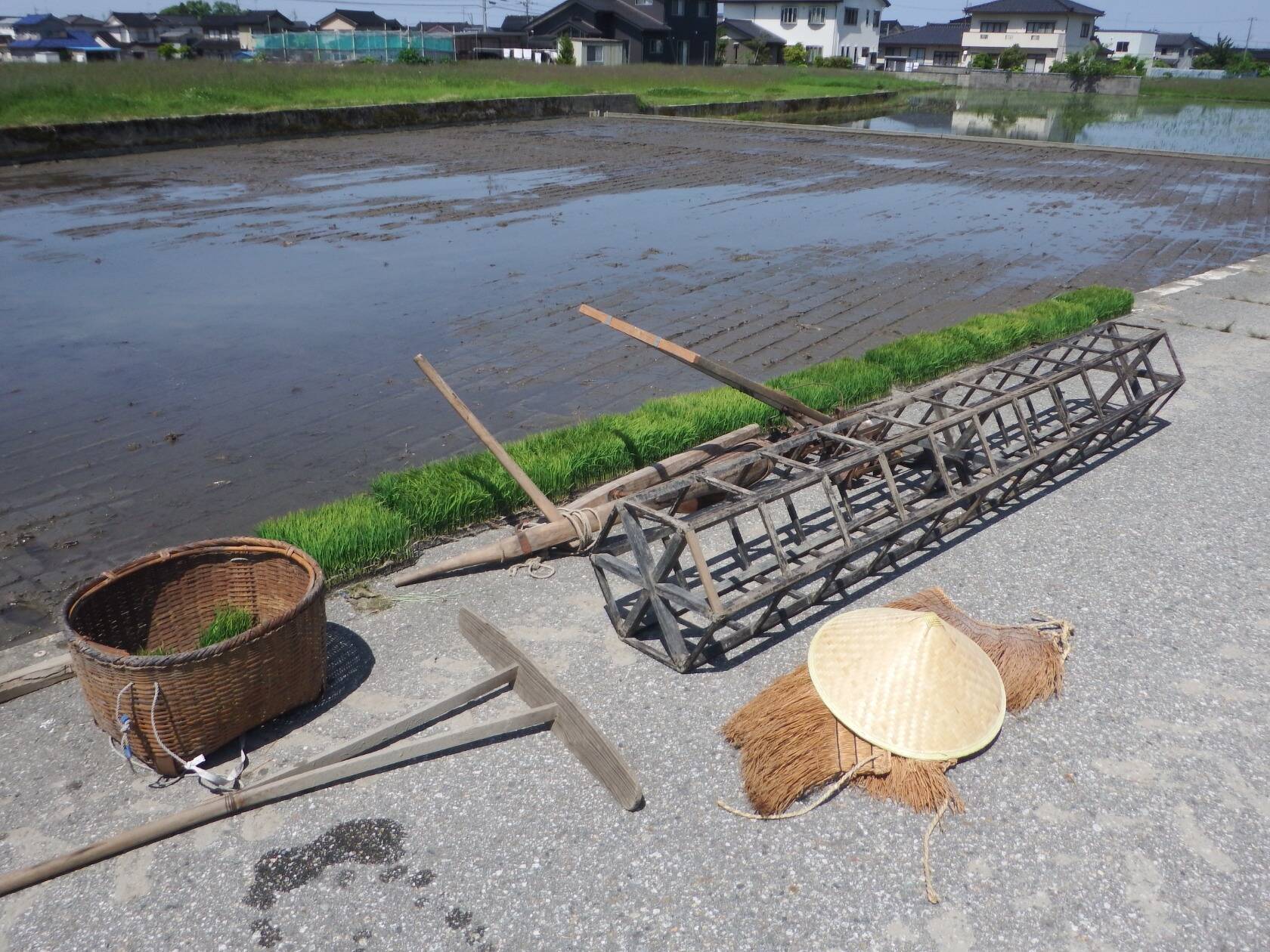 小学生と田植えしました！ | イベント | 富山の米農家「光男の米」より直売｜お米通販 有機米・無農薬米・特別栽培米