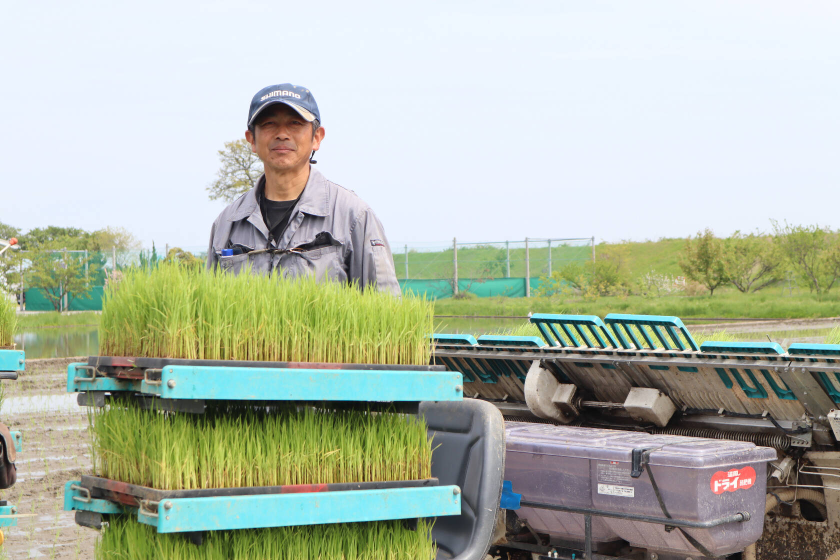 光男の米の田植え | 光男の米 嫁ブログ | 富山の米農家「光男の米」より直売｜お米通販 有機米・無農薬米・特別栽培米