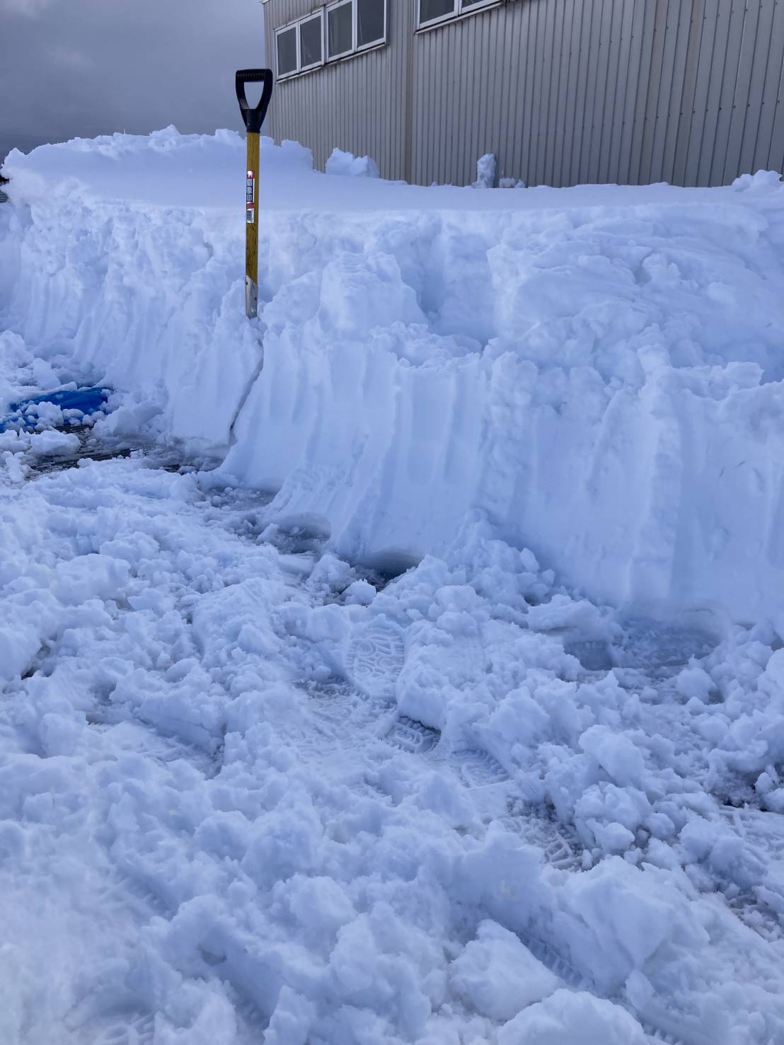 除雪で大忙しです！ | 光男の米 嫁ブログ | 富山の米農家「光男の米」より直売｜お米通販 有機米・無農薬米・特別栽培米